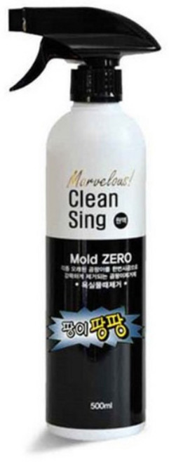 아이편한세상 팡이팡팡 곰팡이 제거제, 2개, 500ml