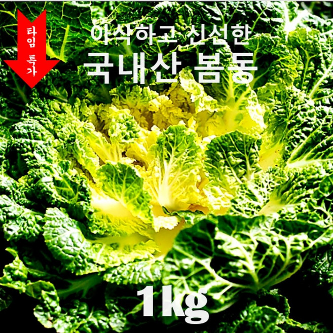 [산지직송 타임특가 15% 할인] 깐깐한 선별 아삭하고 신선한 최고급 봄동 봄동비빔밥 레시피 포함!, 1박스, 1kg