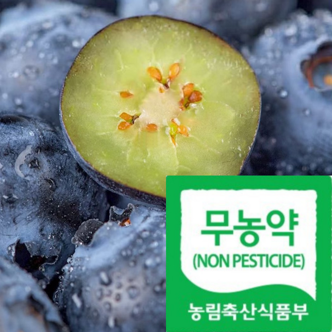 [최고급특수농법] 농약안심 당일수확발송 단골보장 블루베리, 1박스, 100g(특대)