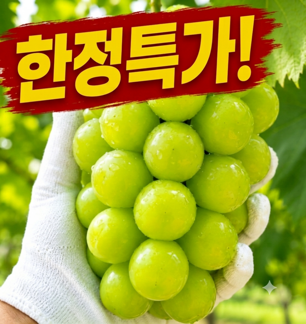 [재구매1위] 100박스한정 초특가 초고당도 샤인머스캣 1박스 2kg, 안심포장 2kg
