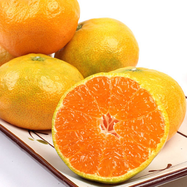 당도선별 제주 비가림귤 감귤 산지직송, 1개, 비가림귤 3kg (중과 로열과)