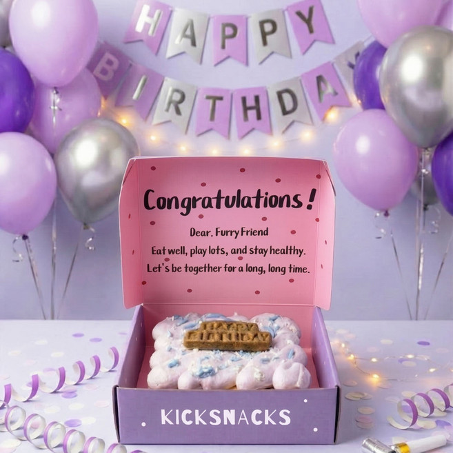 킥스낵스 스퀘어 케이크 강아지 간식 프리미엄 생일 저알러지 무첨가 유기농 수제, 1개, 340g