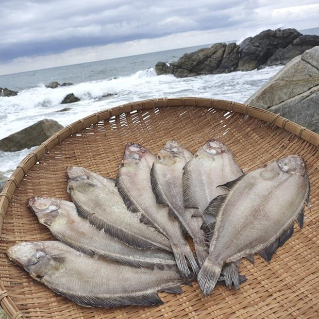 영덕 반건조 물가자미5미(500g내외마리당22~27cm), 1개