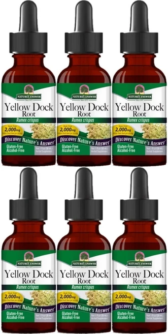 네이처스앤서 고흡수 옐로우 독 소리쟁이 뿌리 2000mg 액상 액체, 6개, 30ml - 쿠팡
