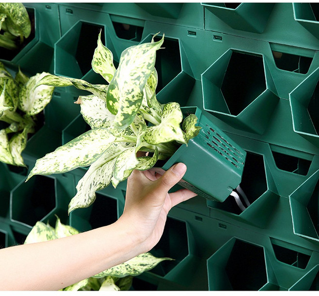 MMC 베란다 수경재배 플랜트월 벽걸이 식물 인테리어 수직화분