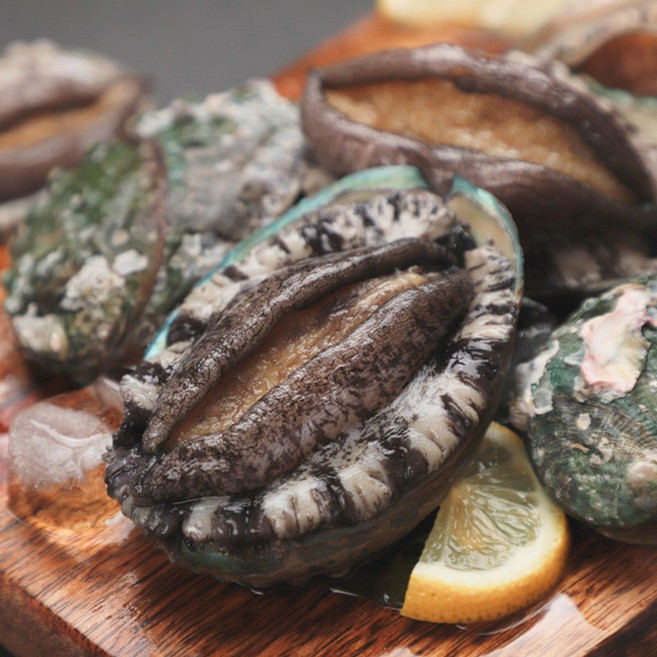 완도 전복 왕특대 직거래 1kg, 1개, 9-10미