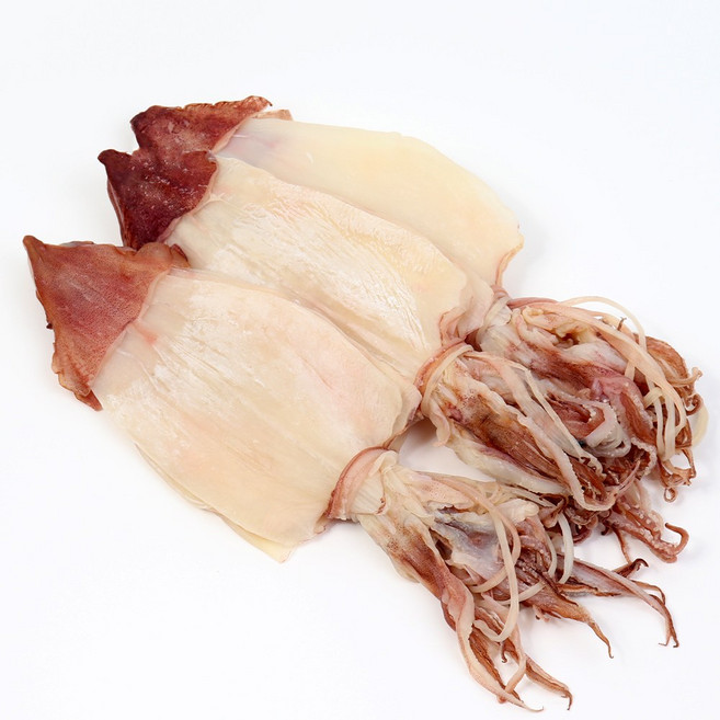 마른 한치 AAA등급 최고급 우윳빛깔 반건조 한치 왕특대~소 5미, 1개, 왕특대 5미 (400g 내외)