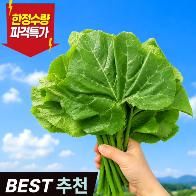 [당일선별] 우수농가 입맛돋는 햇 호박잎, 1개, 500g