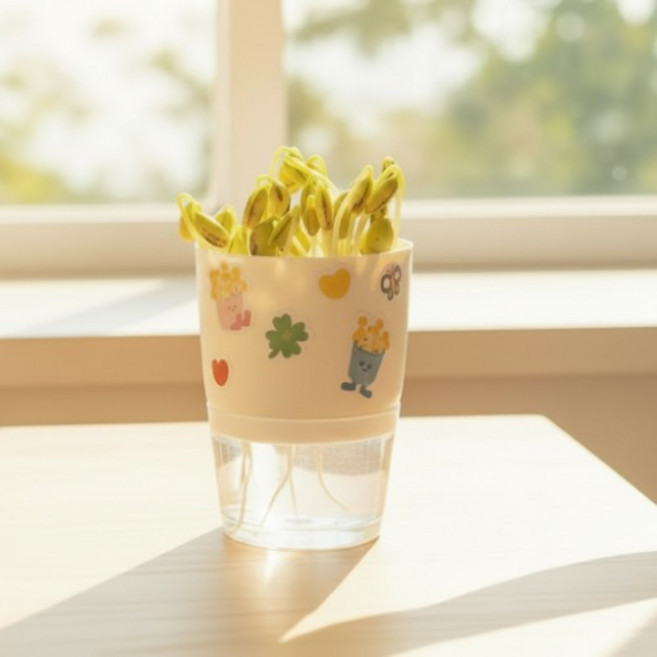 수경재배키트 콩나물키우기 만들기세트