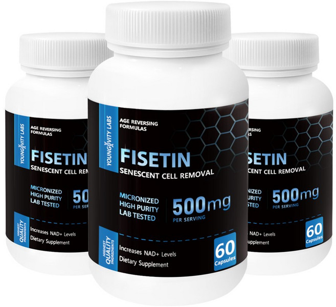 영제비티랩스 피세틴 500mg 60캡슐 3병, 60정, 3개