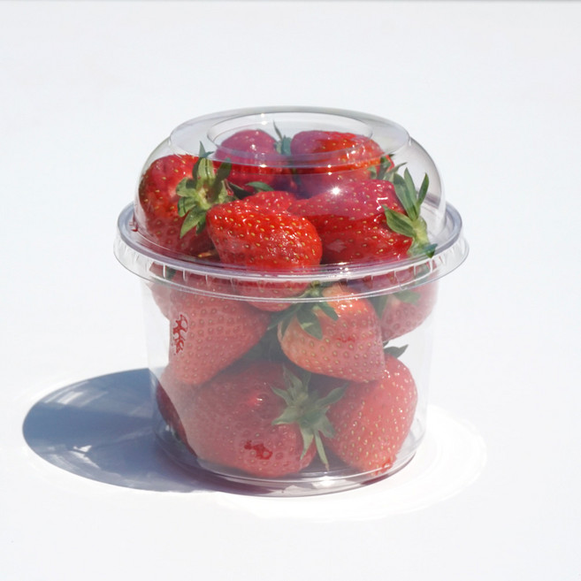 일회용 원형 샐러드 컵과일 반찬용기 600ml 50p + 돔 뚜껑세트, 1세트, 50개