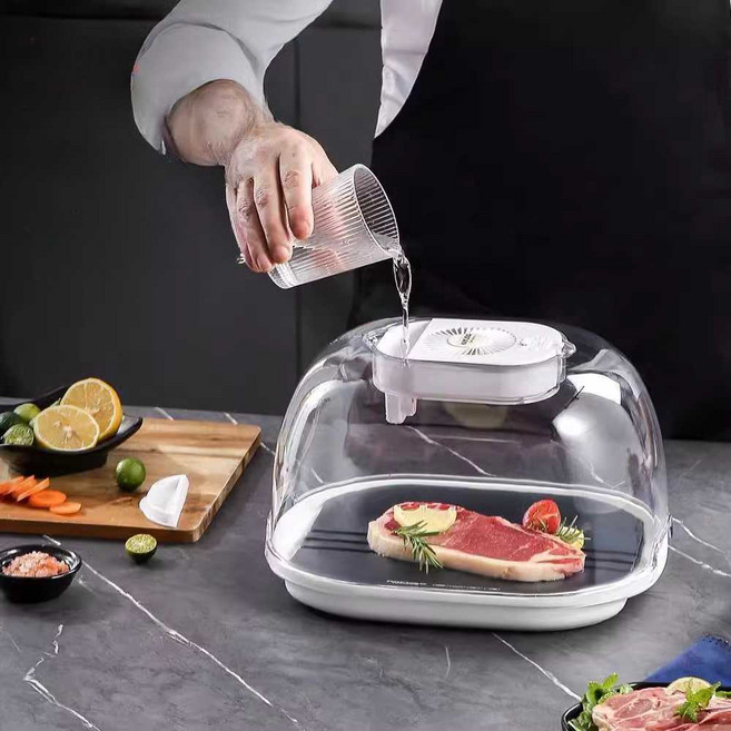 육류 해동기 급속 녹이기 냉동고기 항온 생선 가정용, 그레이