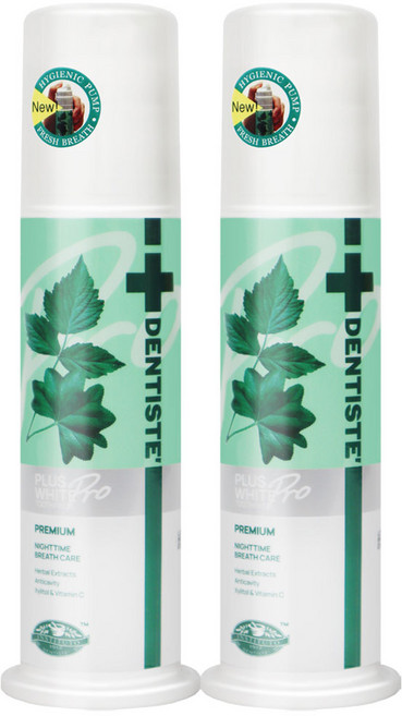 덴티스테 플러스화이트 펌프형 치약, 120g, 2개