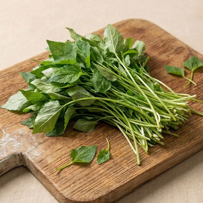 하나의팜 국내산 생 취나물 참취나물 봄나물, 1개, 500g