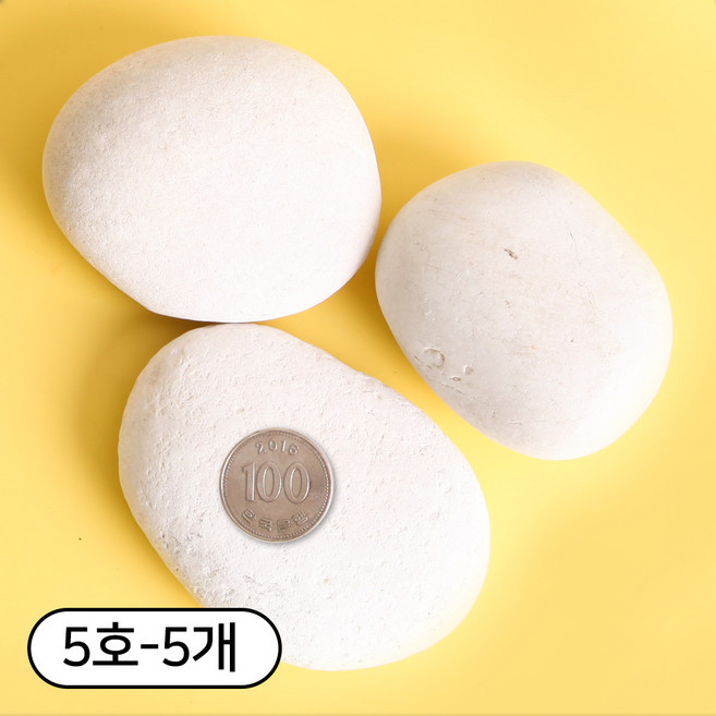 세경팜 납작한 크림자갈 그림그리기돌 반려돌, 5호, 5개, 크림색