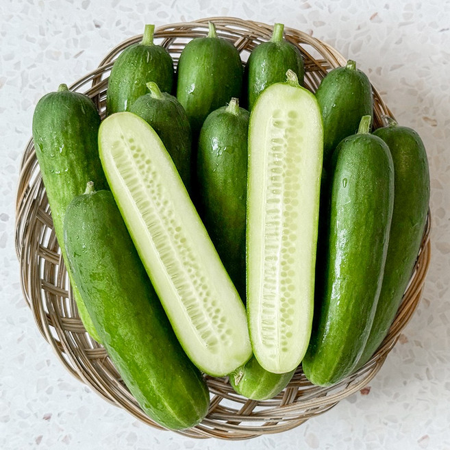 산지직송 국내산 미니오이 피클용 스낵오이, 1박스, 500g