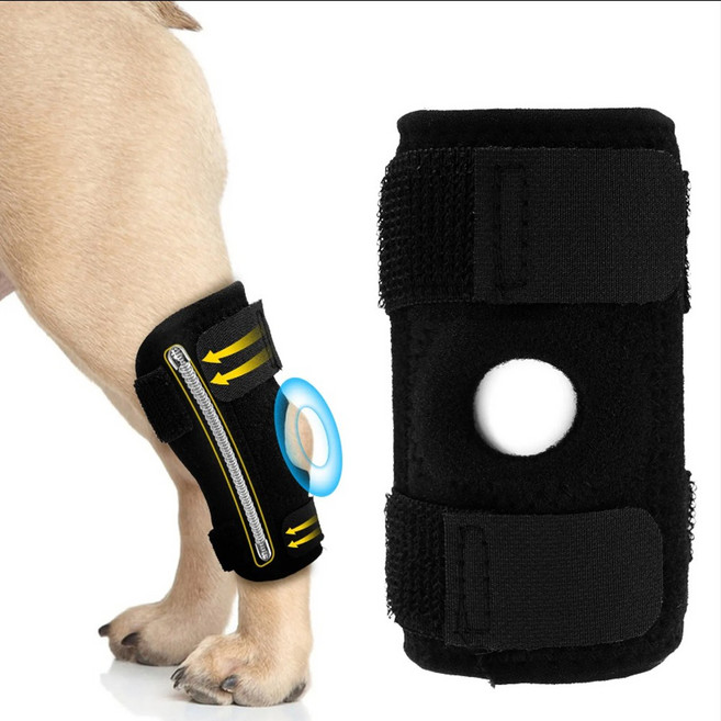 아임펫벳 강아지 슬개골보호대 관절 탈구 다리 애견 동물용 의료기기 P-AS1, L, 1개, 1L