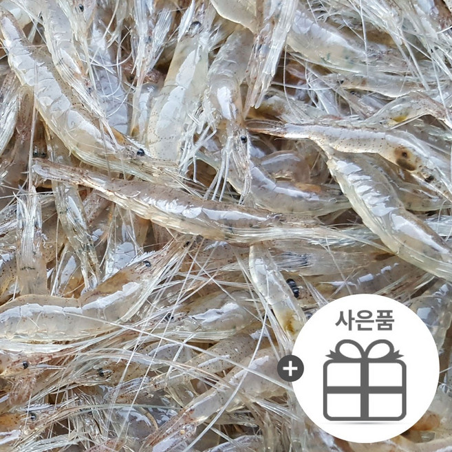 국내산 민물새우 1kg/아빠가 조업한 자연산/4월21일 발송, 1개, 1kg