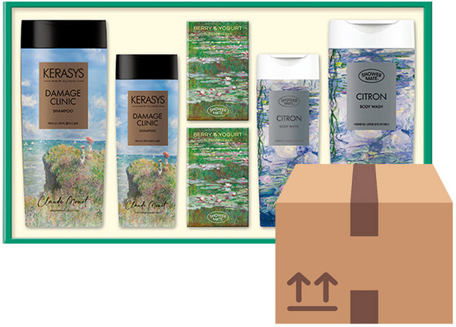 애경 데일리 12호 선물세트, 5세트