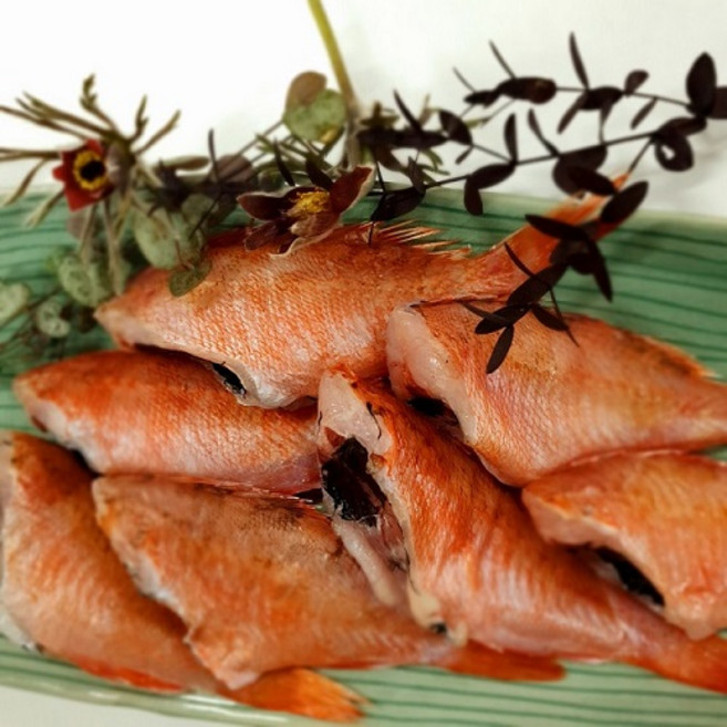 국내산 반건조 홍우럭 두절손질 매운탕 구이 조림용, 1개, 500g (9~11마리)