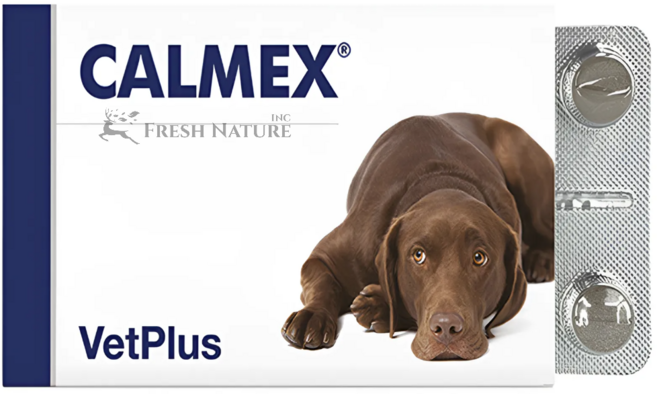 벳플러스 칼멕스 독 반려견 분리불안 안정 보조제, 유리너리+스트레스, 1개, 10정