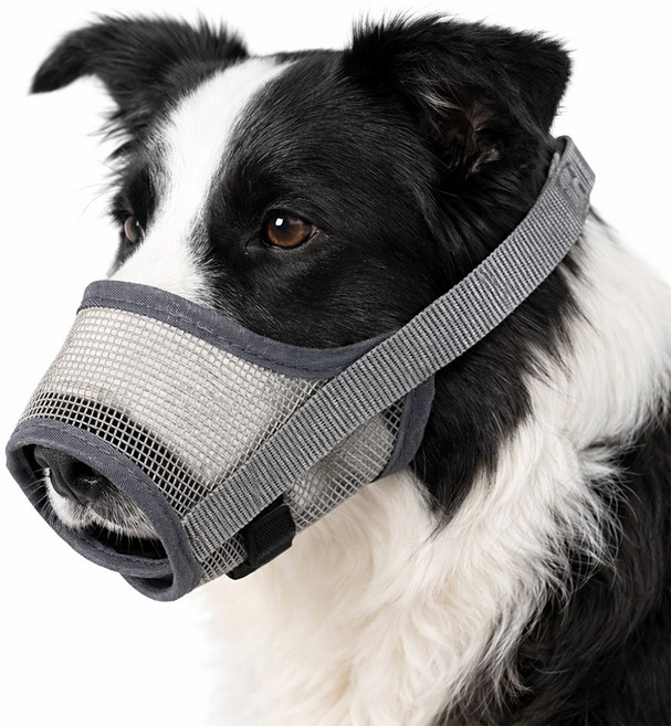 로로포우 강아지 입마개 중대형견 메쉬, 1개, 회색 M