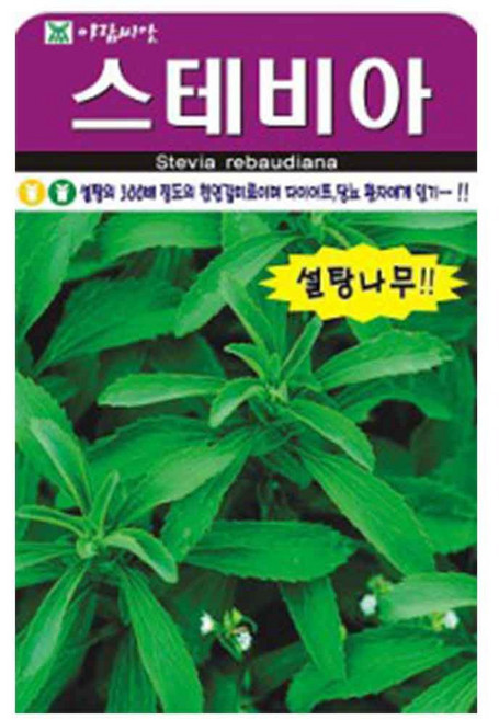 스테비아 씨앗 설탕나무 50립 아람, 6개