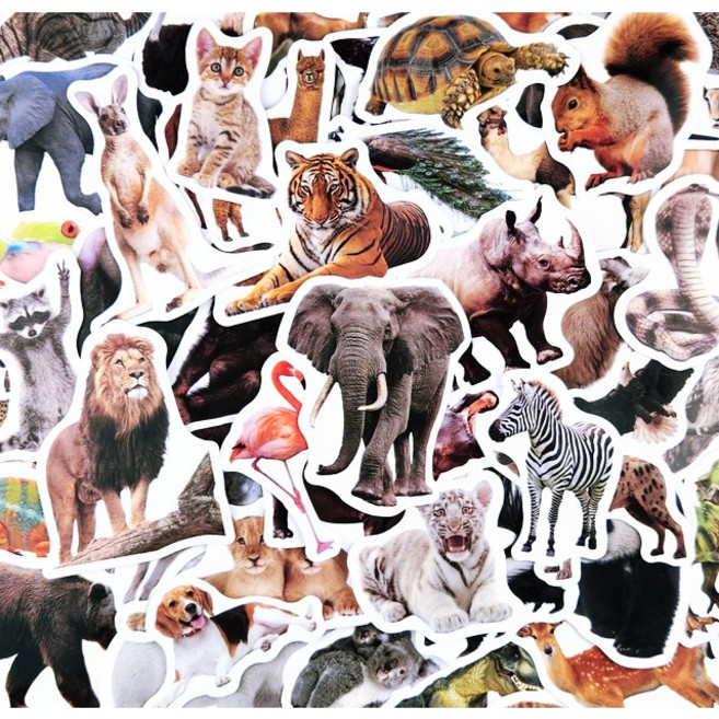 동물 스티커 F형 세트 공룡 동물원 방수 실사 코끼리 다꾸, F형/51장(1세트)