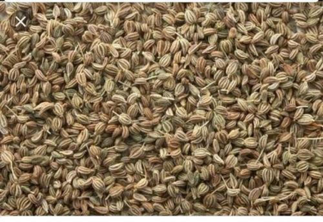 CARAWAY SEED 케러웨이씨앗(파키스탄) 100G, 1개