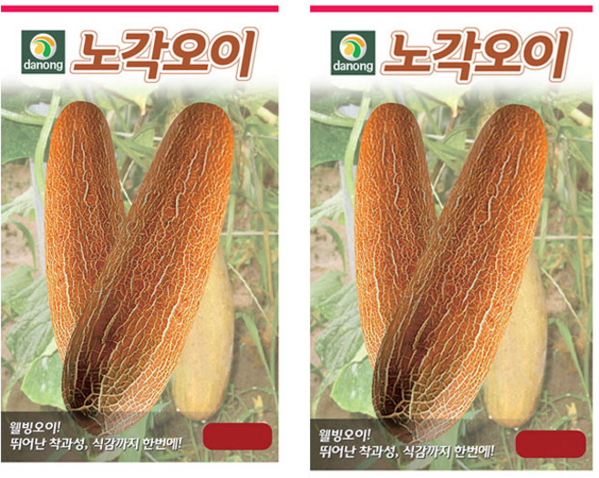 세인화분 노각오이 50립 - 노각 늙은 오이 씨 씨앗, 2개