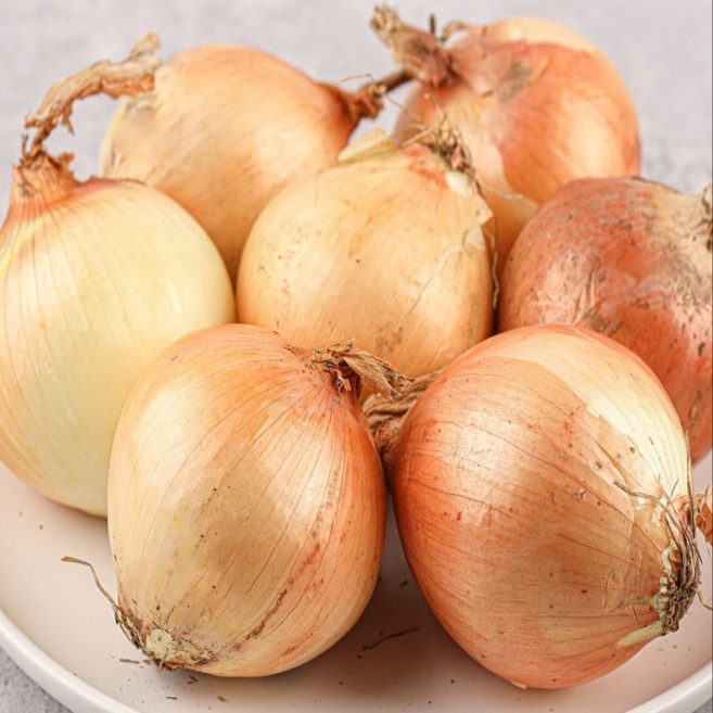 조양FNG 국내산 양파(대), 1개, 10kg