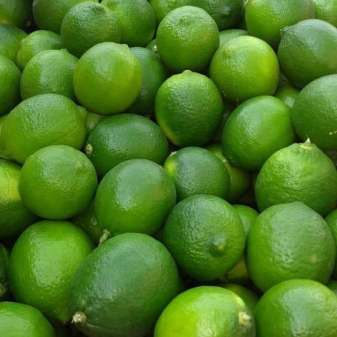 생라임 3과 과당85g내외 세트 / 집에서 만드는 라임에이드, 3개, 85g