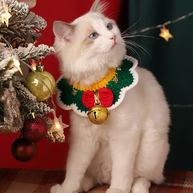 스펜서 반려동물 크리스마스 니트 케이프, 방울 그린, 1개