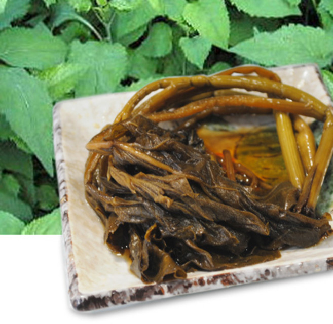 초록사랑 강원도 홍천 취나물장아찌, 1개, 1kg