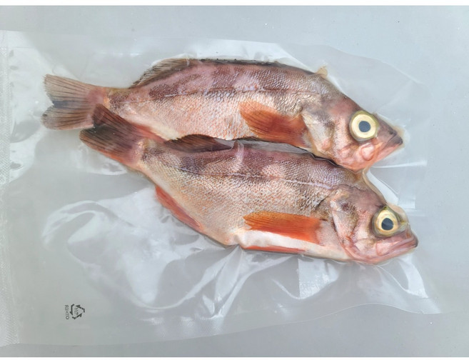 불볼락 열기 생선구이, 1개, 급냉 360g 2미