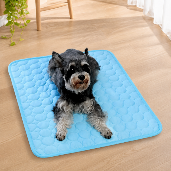 반려동물 쿨매트 강아지 냉감 방석 고양이 펫 여름 매트 55 70 XL, 1개