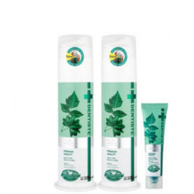 덴티스테 치약 뉴플러스화이트 펌프 120g 2개, 1