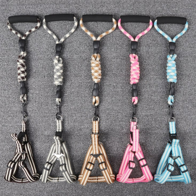 제제펫 앨리스 원형 하네스 리드줄 세트 M, 브라운 Y405PDRL072, 1세트