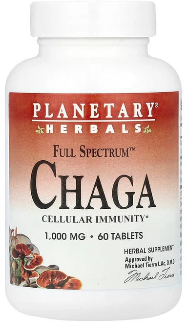 Planetary Herbals Full Spectrum™ 차가버섯 1000mg 60정 PTF-10666, 1 - 쿠팡