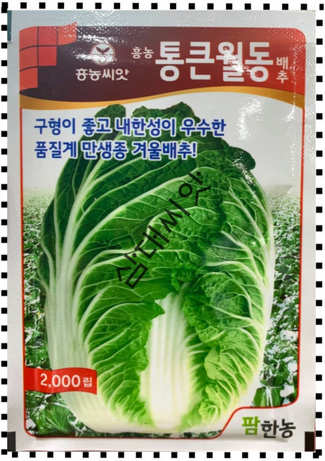 월동배추 씨앗 씨 흥농 통큰월동 2000립 만생종 겨울배추종자 국내채종, 1개