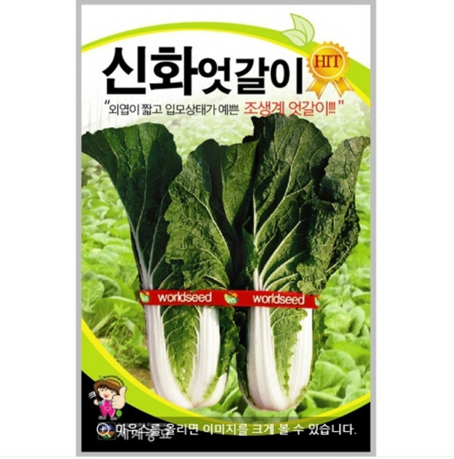 신화엇갈이 20g / 엇갈이 씨앗 종자 텃밭키우기 채소키우기 CR