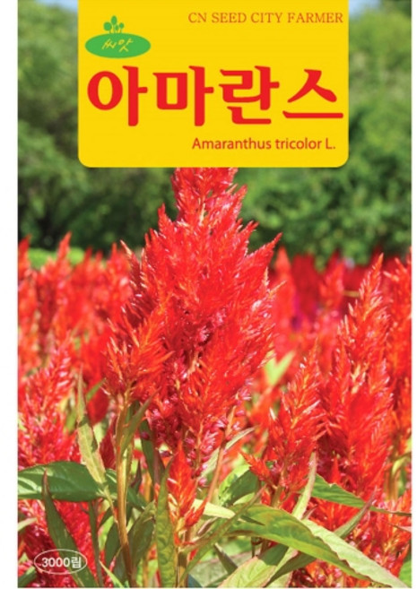 아마란스 씨앗 3000립 아마란스씨 종자 키우기, 1개