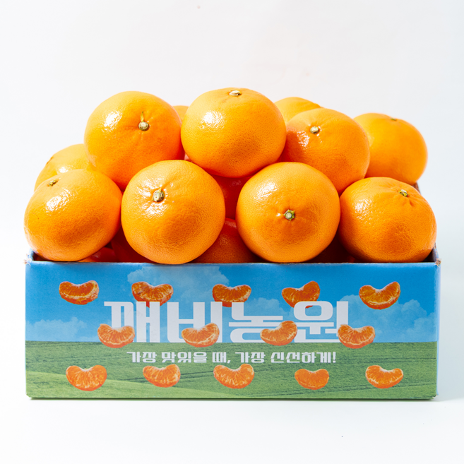 깨비농원 천혜향, 1박스, 천혜향 4kg 대과