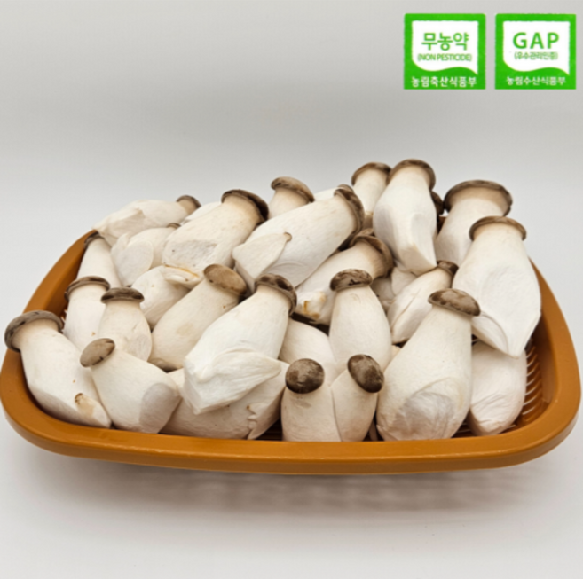 [GAP인증/무농약] 그린피스농장 친환경 미니 새송이버섯(농장 직배송), 1개, 2kg