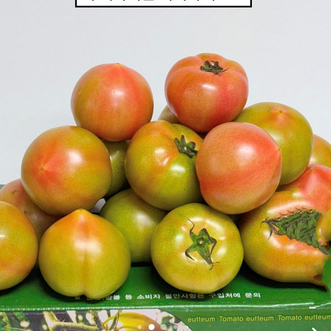 진품명품 대저토마토 중과 대과 못난이혼합과, 1박스, 대저토마토못난이(혼합과)5kg