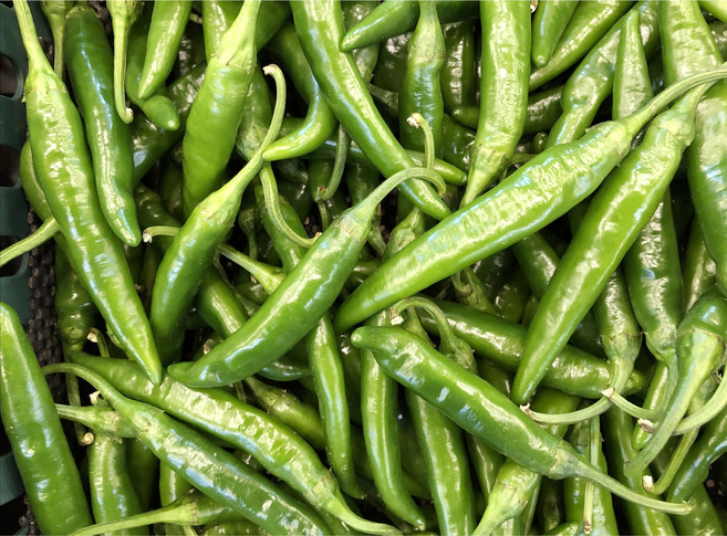 국내산 신선한 청양고추 (상), 1개, 2kg