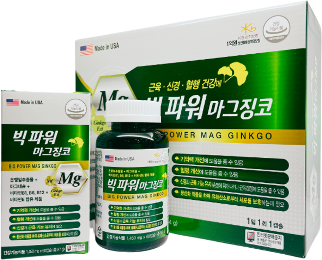 빅파워 마그징코, 120정, 3개