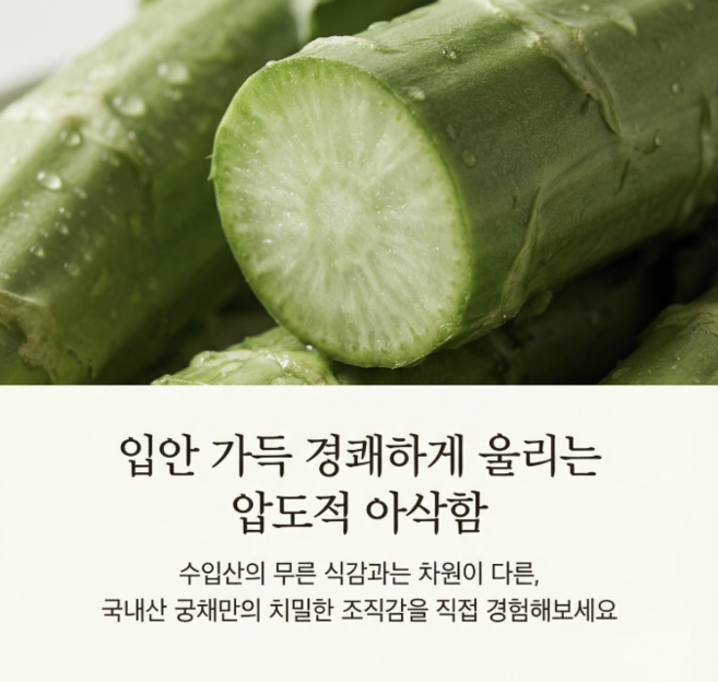 산지에서 바로 보내는 신선함 황제의 음식 줄기상추 궁채 이제 중국산 말고 국내산 드세요, 3kg, 1박스