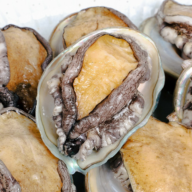 완도 산지직송 싱싱한 활전복 생전복 가정용 선물용 1kg (6-7미)