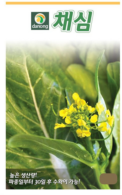 다농 채심 씨앗 5g 채심씨 동남아 이색 희귀 채소 종자, 2개